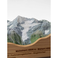 Weisshorn 4505 m, Weisshorngruppe • Walliser Alpen, Zwitserland