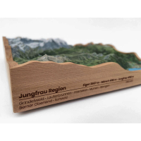 Jungfrau Region • Berner Oberland, Zwitserland