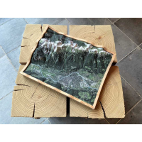 Innsbruck, Nordkette • Karwendel, Oostenrijk